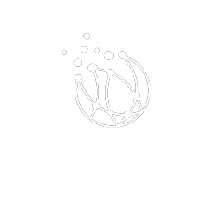 Roteirizador